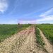 Teren intravilan cu potantial pentru investitie