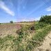 Teren intravilan cu potantial pentru investitie